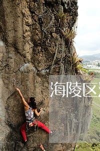 海陵区法院如此执法 海陵区法院如此执法