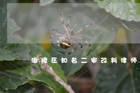 海陵区知名二审改判律师法律咨询 海陵区知名二审改判律师法律咨询