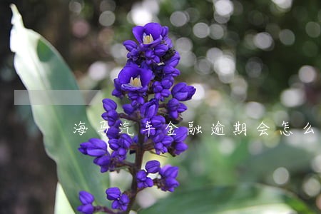 海马汽车金融逾期会怎么样 海马汽车金融逾期会怎么样