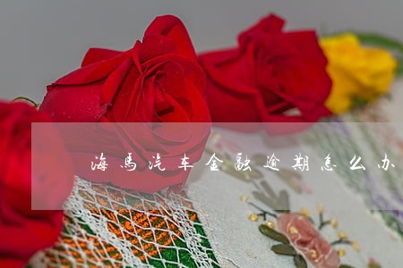 海马汽车金融逾期怎么办 海马汽车金融逾期怎么办