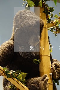 海马财务车贷严重逾期 海马财务车贷严重逾期