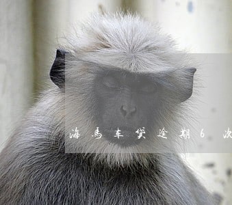 海马车贷逾期6次怎么申请 海马车贷逾期6次怎么申请