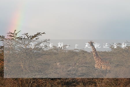 海马逾期25天就还全款