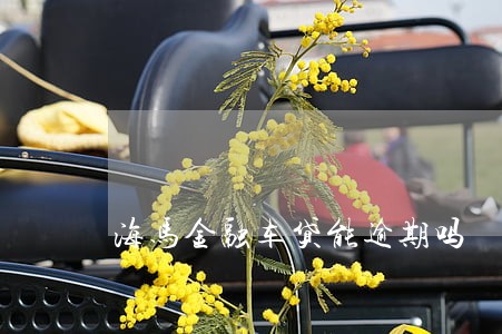 海马金融车贷能逾期吗 海马金融车贷能逾期吗