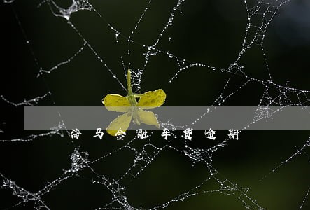 海马金融车贷逾期 海马金融车贷逾期