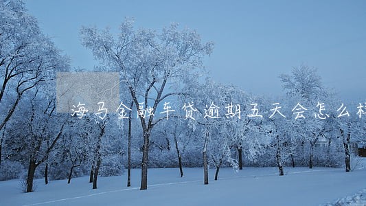 海马金融车贷逾期五天会怎么样 海马金融车贷逾期五天会怎么样