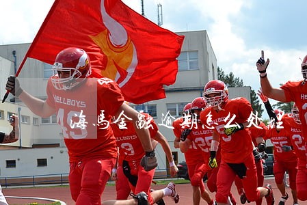 海马金融逾期怎么处理 海马金融逾期怎么处理