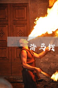 海马钱包逾期 海马钱包逾期