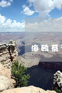 海鸥系列高炮逾期一个还能下款吗 海鸥系列高炮逾期一个还能下款吗