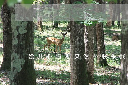 涂开心逾期突然不联系我了 涂开心逾期突然不联系我了