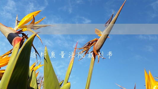 涂料质量法院裁判书 涂料质量法院裁判书