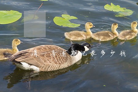 消一条逾期记录多少钱 消一条逾期记录多少钱