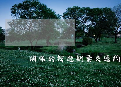 消保的钱逾期要交违约金吗 消保的钱逾期要交违约金吗