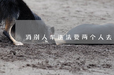 消别人车违法要两个人去吗 消别人车违法要两个人去吗