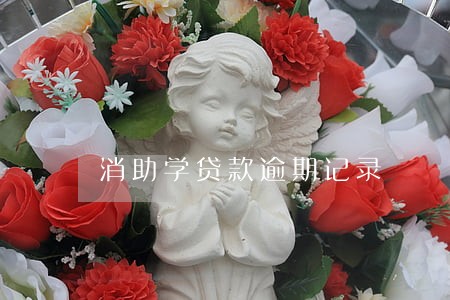 消助学贷款逾期记录 消助学贷款逾期记录