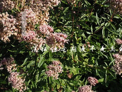 消征信逾期是不是真的 消征信逾期是不是真的