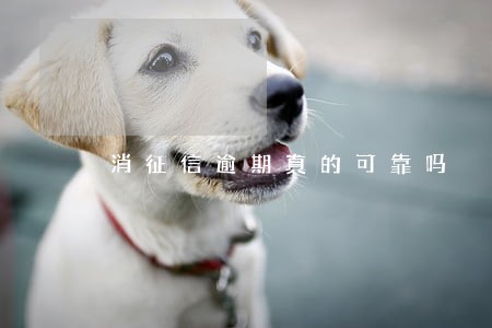 消征信逾期真的可靠吗 消征信逾期真的可靠吗