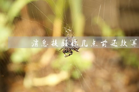 消息提醒你几点前还款算逾期吗 消息提醒你几点前还款算逾期吗