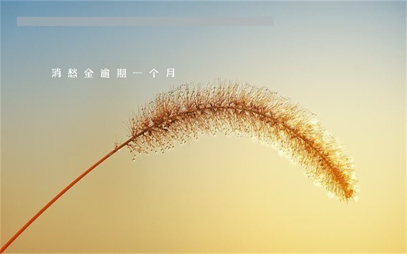 消愁金逾期一个月 消愁金逾期一个月