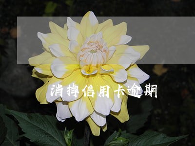 消掉信用卡逾期 消掉信用卡逾期