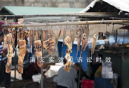 消灭实效和诉讼时效 消灭实效和诉讼时效
