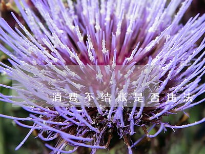 消费不结账是否违法 消费不结账是否违法