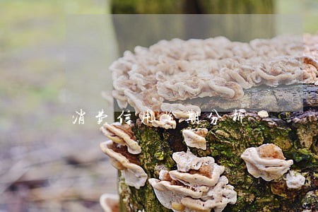 消费信用逾期分析 消费信用逾期分析