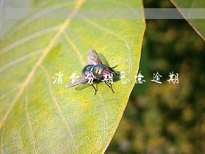 消费分期恶意逾期