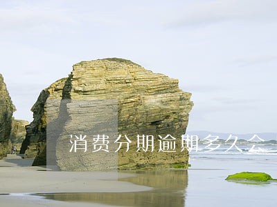 消费分期逾期多久会上征信 消费分期逾期多久会上征信