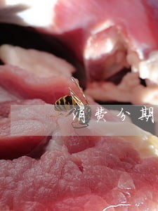 消费分期逾期案件立案 消费分期逾期案件立案