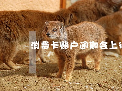 消费卡账户逾期会上征信吗