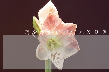 消费卡超过10天没还算逾期吗 消费卡超过10天没还算逾期吗