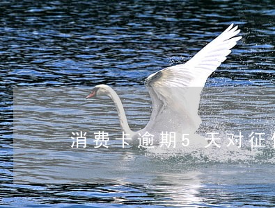 消费卡逾期5天对征信有影响吗 消费卡逾期5天对征信有影响吗