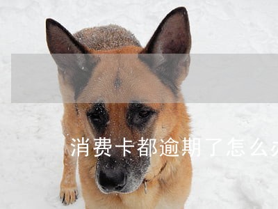 消费卡都逾期了怎么办 消费卡都逾期了怎么办