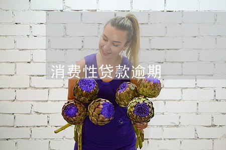 消费性贷款逾期 消费性贷款逾期