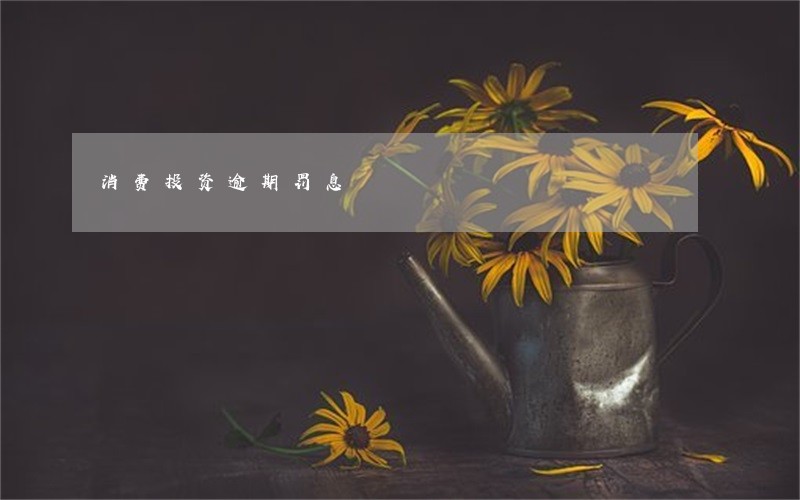 消费投资逾期罚息 消费投资逾期罚息
