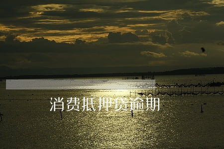 消费抵押贷逾期 消费抵押贷逾期