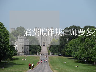 消费欺诈找律师要多少钱 消费欺诈找律师要多少钱