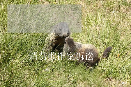 消费欺诈案诉讼 消费欺诈案诉讼