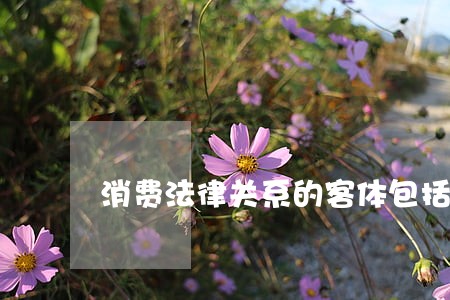 消费法律关系的客体包括商品和服务