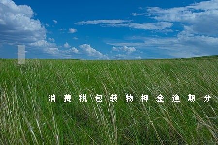 消费税包装物押金逾期分录 消费税包装物押金逾期分录