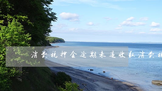 消费税押金逾期未退收取消费税吗 消费税押金逾期未退收取消费税吗