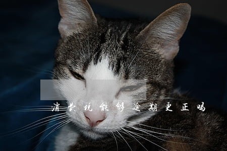 消费税能够逾期更正吗 消费税能够逾期更正吗