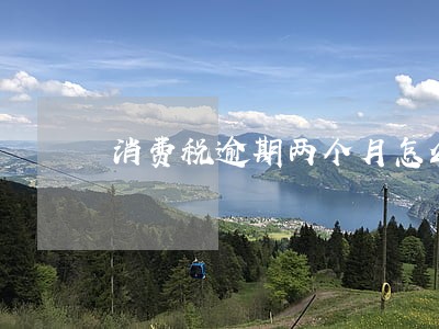 消费税逾期两个月怎么沟通 消费税逾期两个月怎么沟通