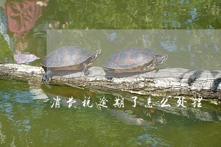 消费税逾期了怎么处理 消费税逾期了怎么处理