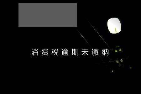 消费税逾期未缴纳 消费税逾期未缴纳