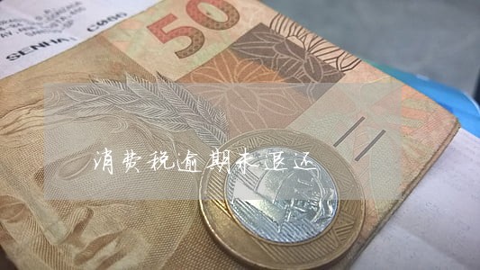 消费税逾期未退还 消费税逾期未退还