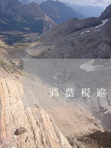 消费税逾期申报会怎么样 消费税逾期申报会怎么样