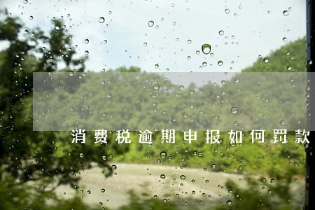 消费税逾期申报如何罚款 消费税逾期申报如何罚款