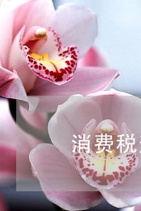 消费税逾期申报怎么处理 消费税逾期申报怎么处理